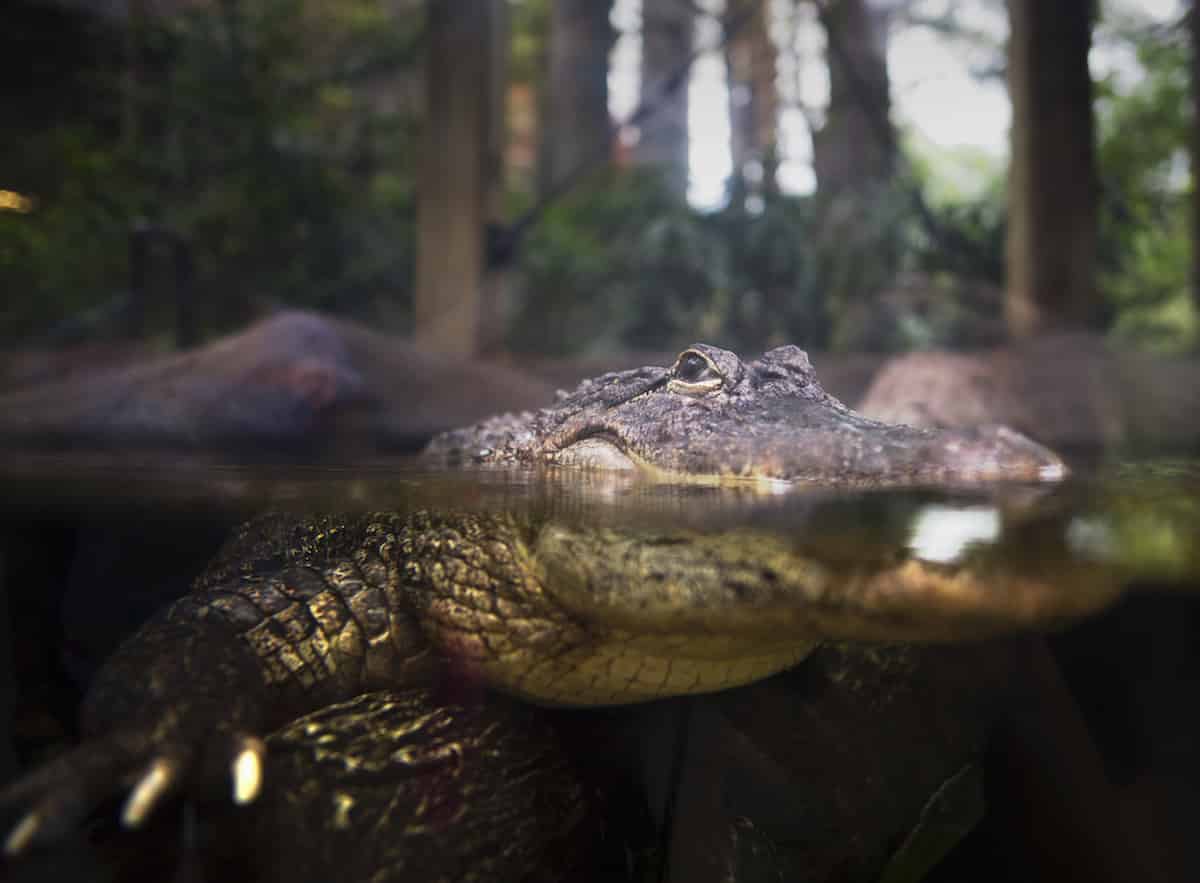 The-Florida-Aquarium