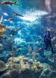 The Florida Aquarium