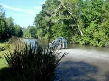 Grand Tour: Two Plantations, Lunch & Airboat Swamp Tour with Transportation from New Orleans
