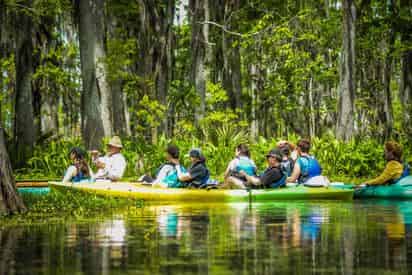 Paddle & Oak Alley Plantation Combo with Transportation from New Orleans