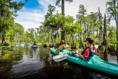 Paddle & Oak Alley Plantation Combo with Transportation from New Orleans