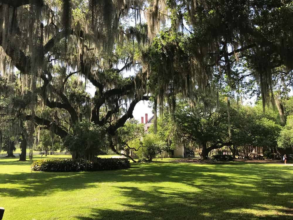 Destrehan-Plantation-History-Tour