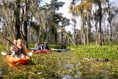 Manchac Magic Kayak Swamp Tour by Wild Louisiana Tours