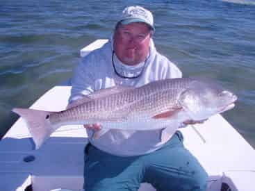 6-Hr Inshore & Flats Fishing Charter with Light Tackle Adventures