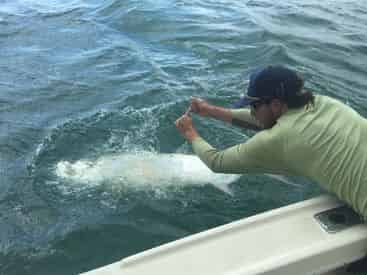4-Hr Near Shore Fishing Charter with Light Tackle Adventures