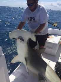 Deep Sea Fishing On The Corsair 2 by Fish On Board