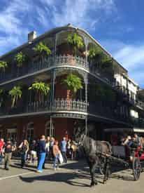 Historical New Orleans City & Mansion Tour with Tours By Isabelle