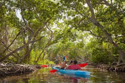 Morning Sail, Snorkel, and Kayak Adventure