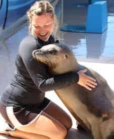 Discover Sea Lions at Gulfarium Marine Adventure Park