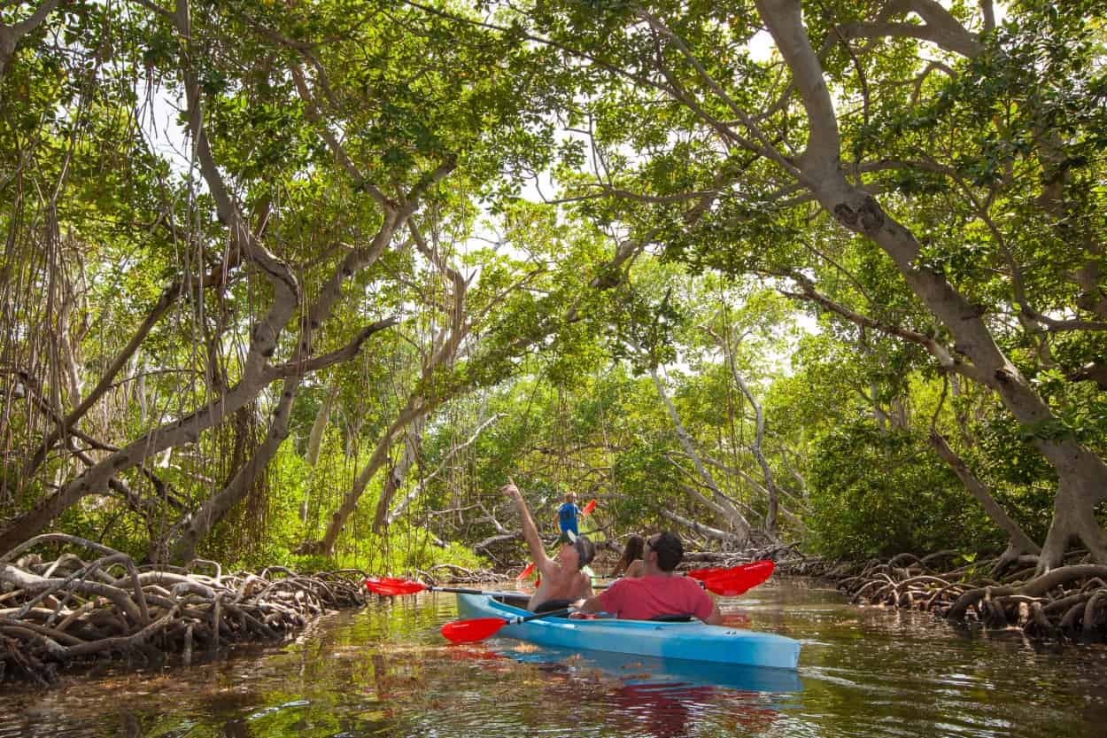 full-day-sail-snorkel-and-kayak-excursion-with-danger-charters