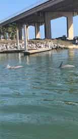 Family Fun Combo Adventures with Gulf Island Charters