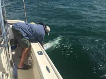 Private 6-Hour Tarpon Charter with Light Tackle Adventures