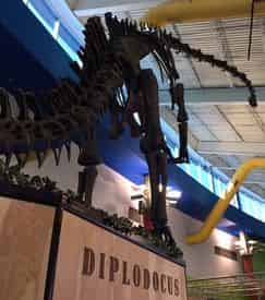 Museum of Science and Industry (MOSI) Admission Tickets