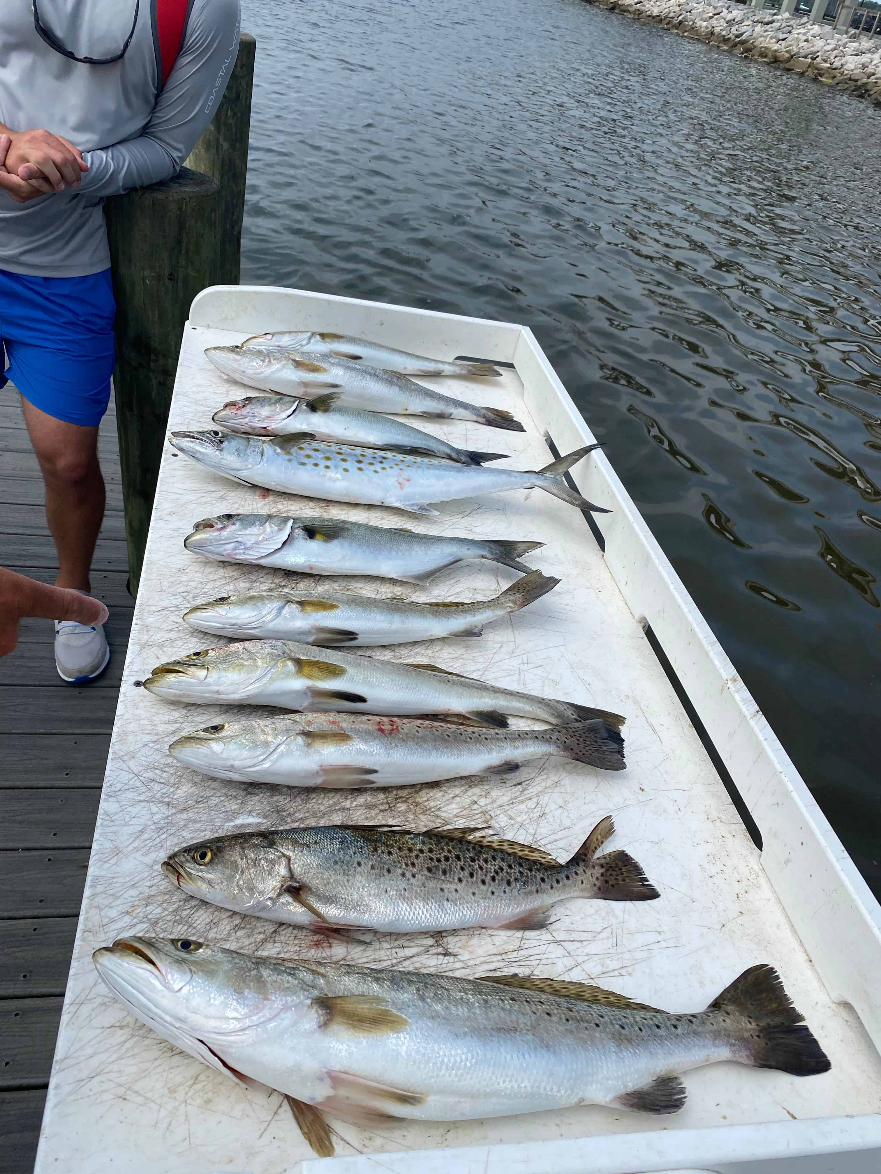 Rolling-Tide-Charters-Private-Offshore-and-Inshore-Fishing