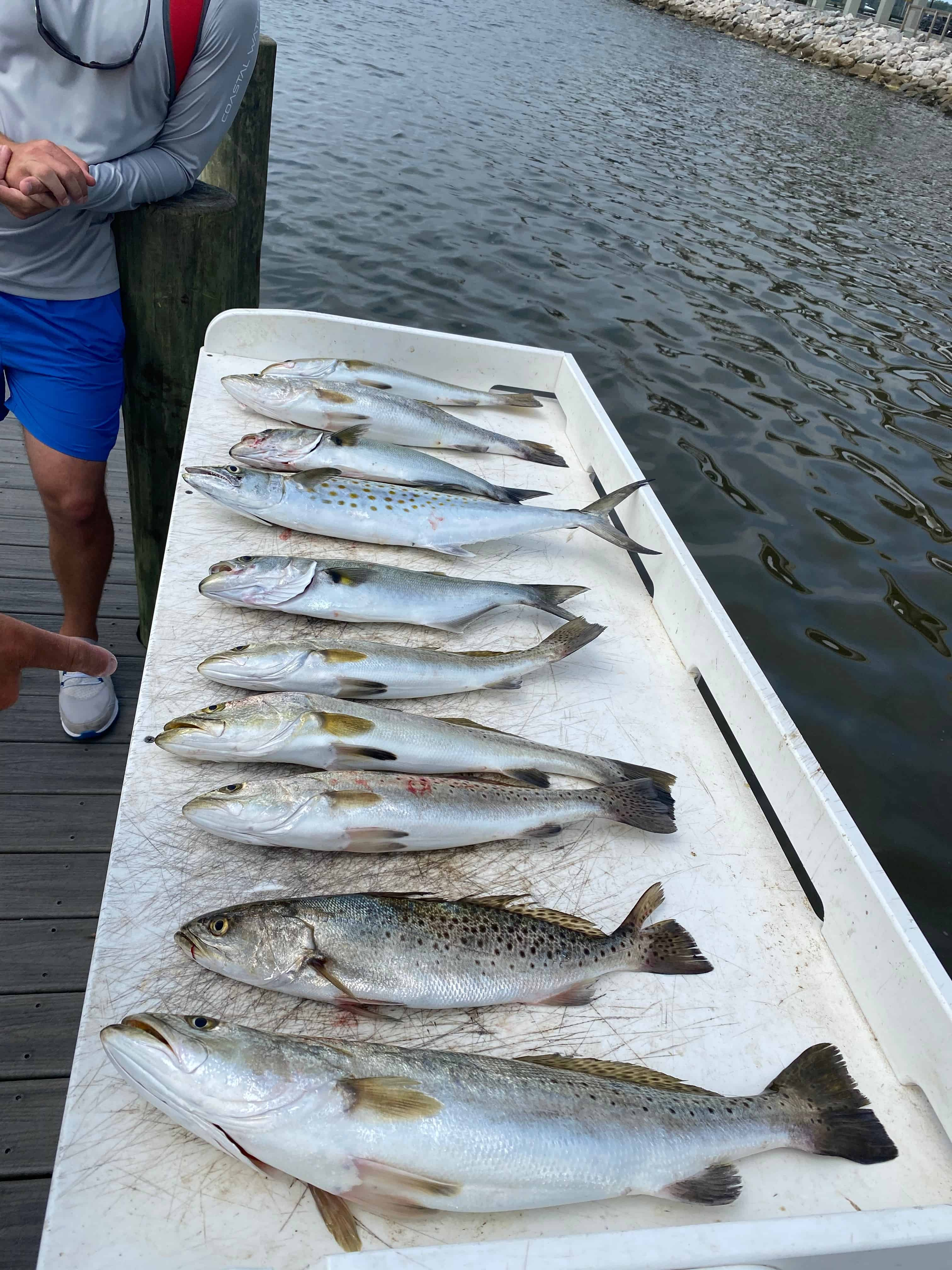 Rolling Tide Charters – Private Inshore Fishing - TripShock!