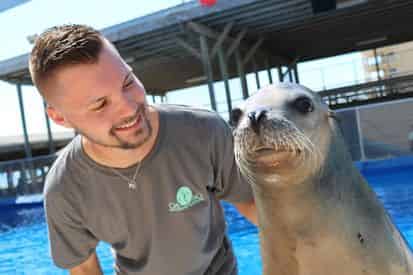 Discover Sea Lions at Gulfarium Marine Adventure Park