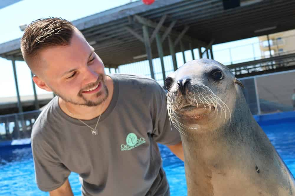 Discover-Sea-Lions-at-Gulfarium-Marine-Adventure-Park