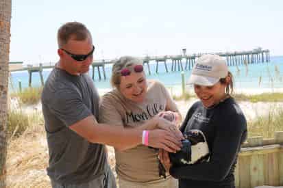 Discover Penguins at Gulfarium Marine Adventure Park