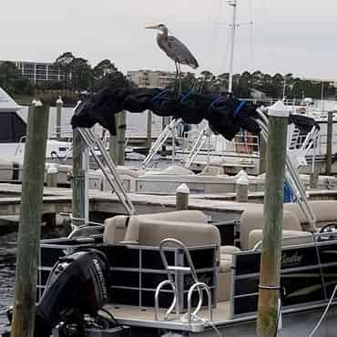 8-Hour-Pontoon-Boat-Rental-by-Funday-Watersports