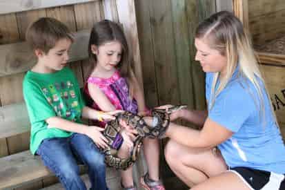 Kids Reptile Safari at Gulfarium Marine Adventure Park