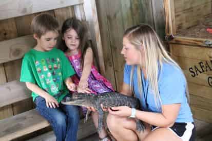 Kids Reptile Safari at Gulfarium Marine Adventure Park