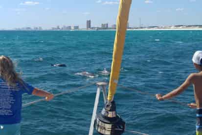 Panama City Beach Snorkel Trip Aboard The Privateer Catamaran