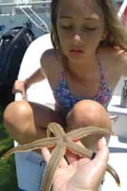 Panama City Beach Snorkel Trip Aboard The Privateer Catamaran