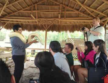 Miami To The Max City and Everglades Tour Combo