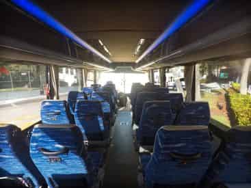 Everglades Adventure and Boat Cruise Combo