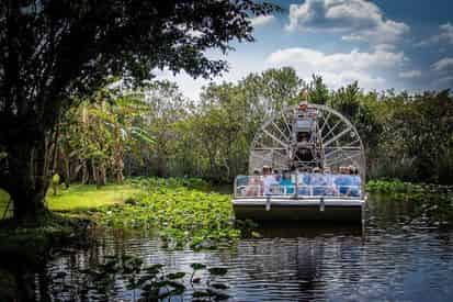 Everglades Morning Tour & Wildlife Show with Transportation