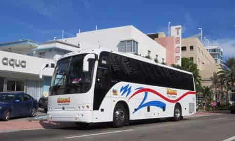 Everglades Morning Tour & Wildlife Show with Transportation