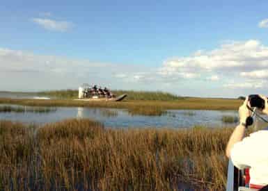 Everglades Afternoon Tour & Wildlife Show with Transportation