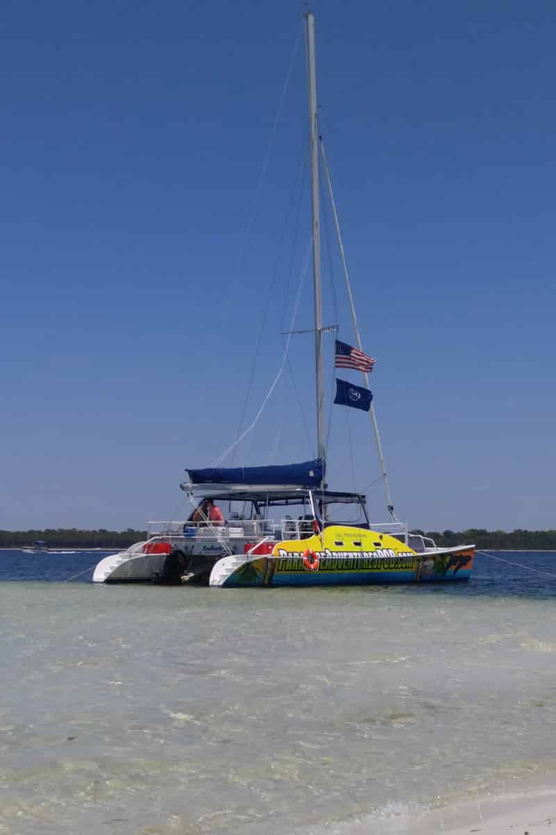 Sunset-Dolphin-Sail-Aboard-The-Footloose-Catamaran