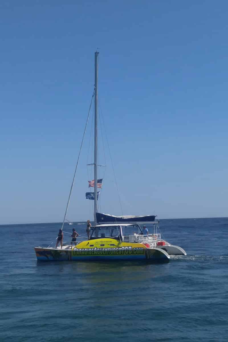 Sunset-Dolphin-Sail-Aboard-The-Footloose-Catamaran