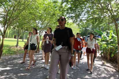 Group Tour of Whitney Plantation Slavery Museum with Transportation from NOLA