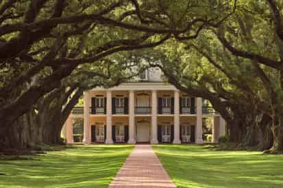 Small Group Tour of Oak Alley Plantation with Transportation from New Orleans