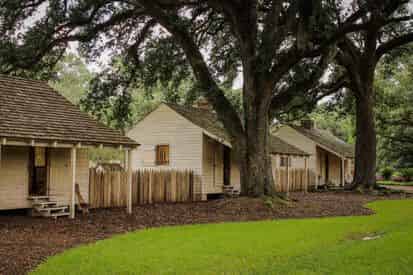 Small Group Tour of Oak Alley Plantation with Transportation from New Orleans