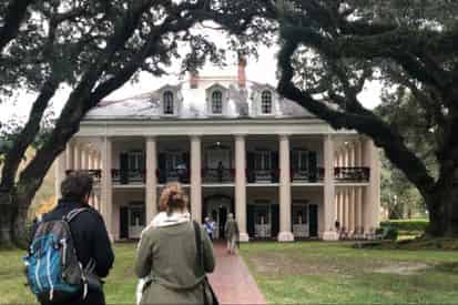 Small Group Tour of Oak Alley Plantation with Transportation from New Orleans