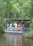 Jean Lafitte Swamp Tour with Optional Transportation