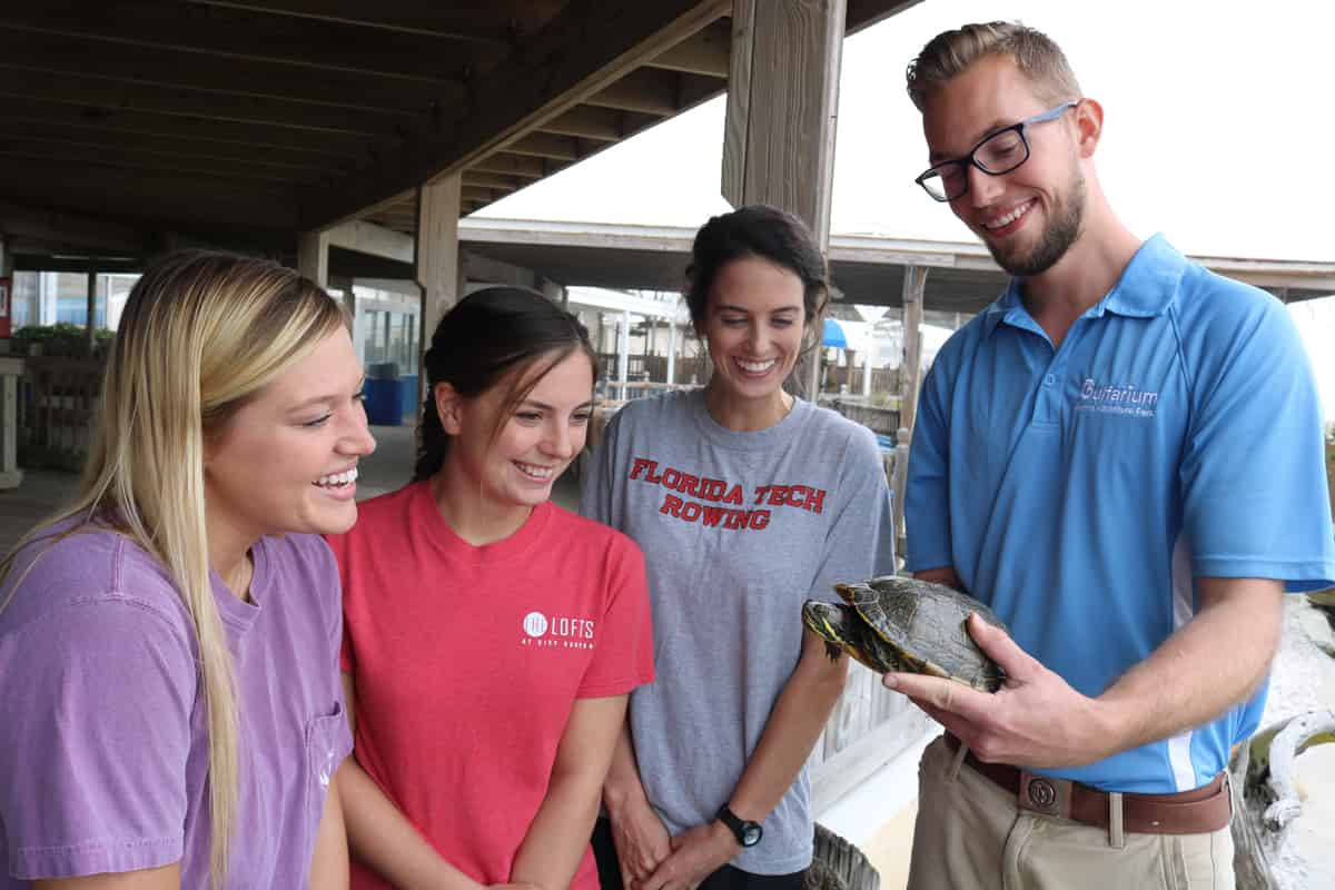 Discover-Turtles-Encounter-at-Gulfarium-Marine-Adventure-Park