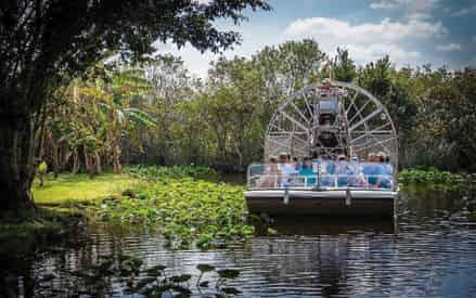 Everglades Adventure and Boat Cruise Combo