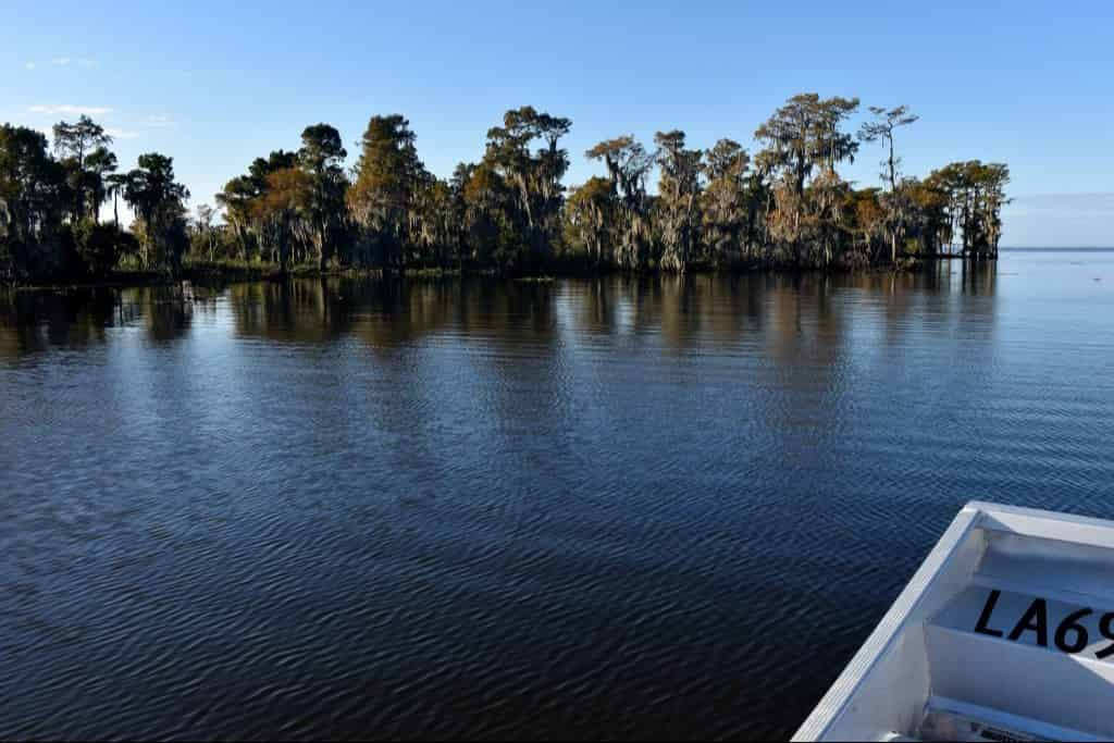 Airboat-Adventures-from-New-Orleans-with-Optional-Transportation