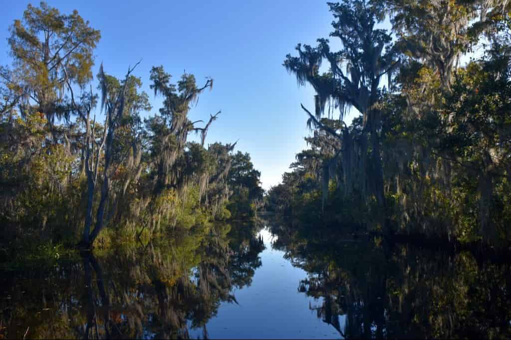 Airboat-Adventures-from-New-Orleans-with-Optional-Transportation