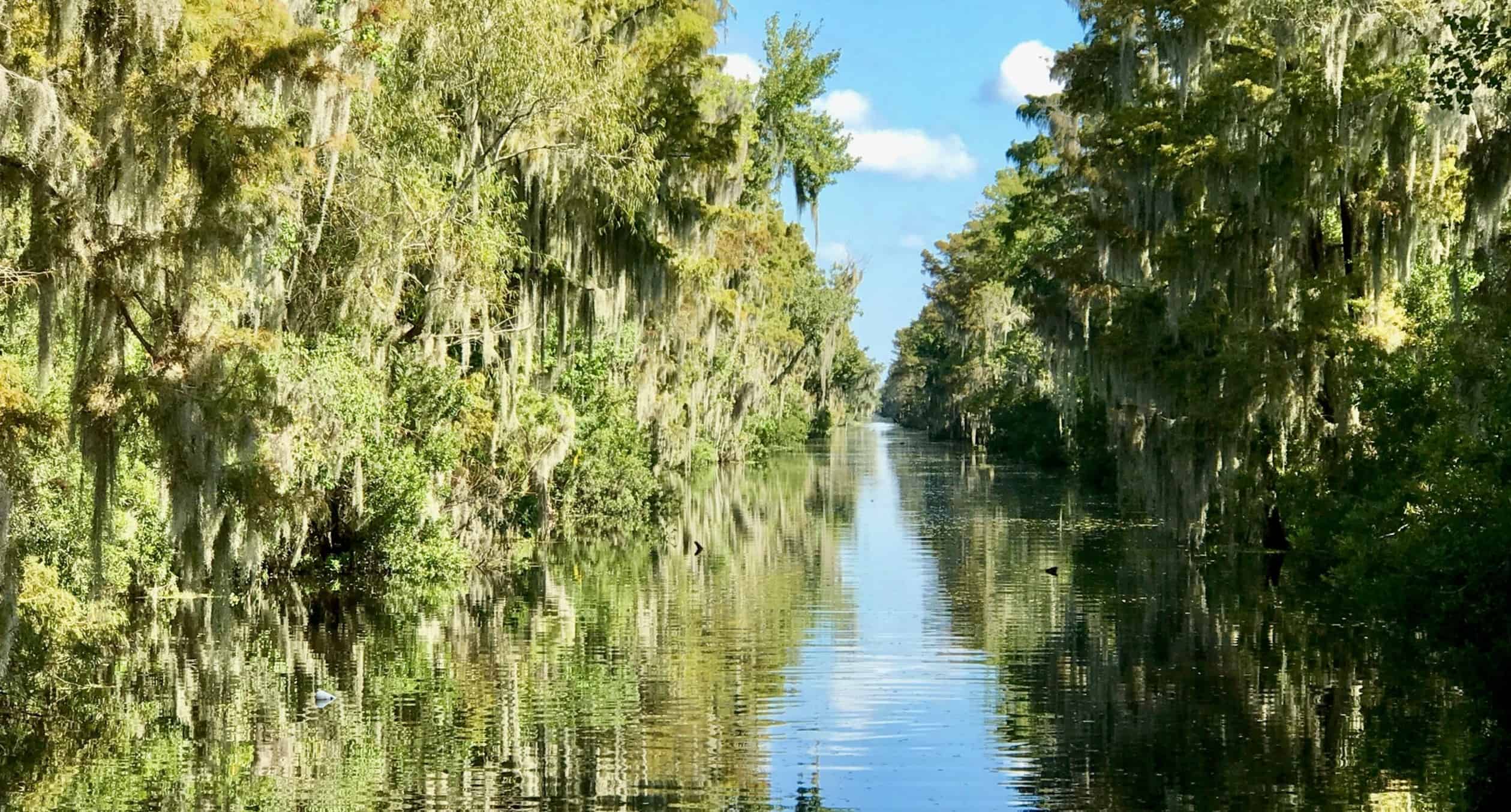 Airboat-Adventures-from-New-Orleans-with-Optional-Transportation