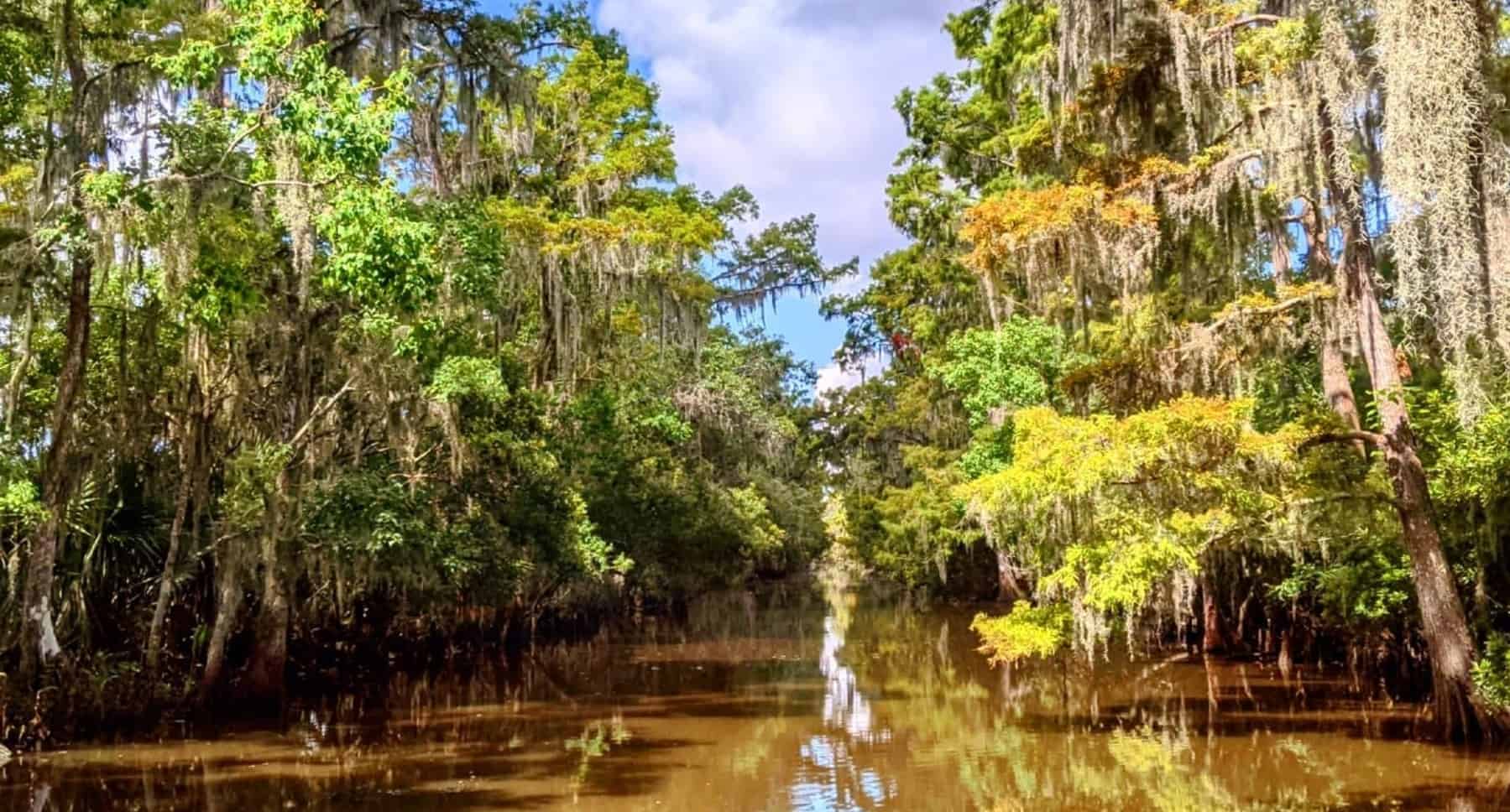 Airboat-Adventures-from-New-Orleans-with-Optional-Transportation