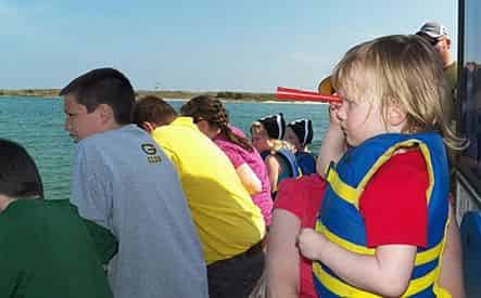 Sunset Dolphin Cruise with Blue Dolphin at The Flora-Bama