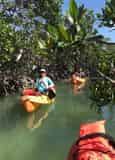 Java Cat Sail, Kayak, & Snorkel Half Day Eco Tour
