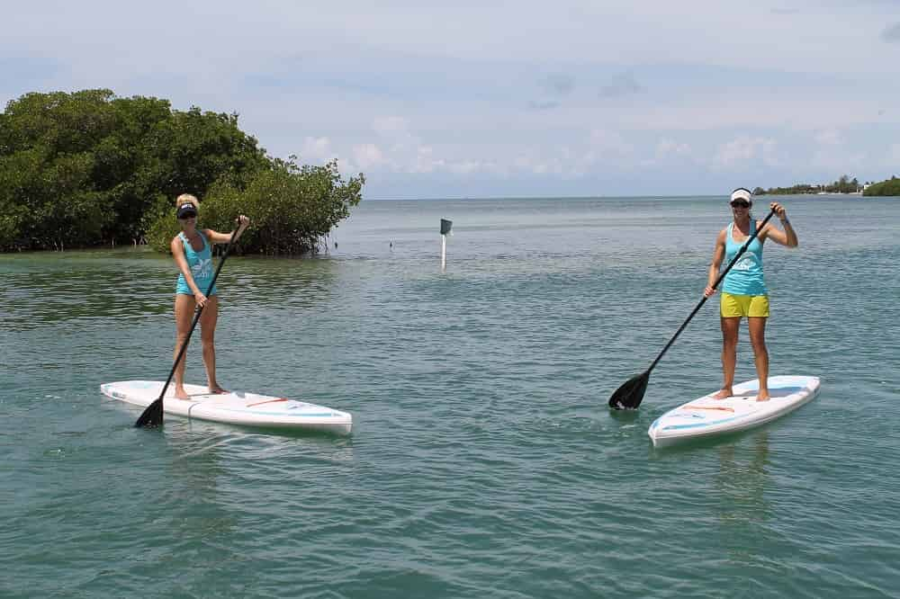 Guided-Backcountry-Paddle-Tour-with-Key-West-Eco-Tours