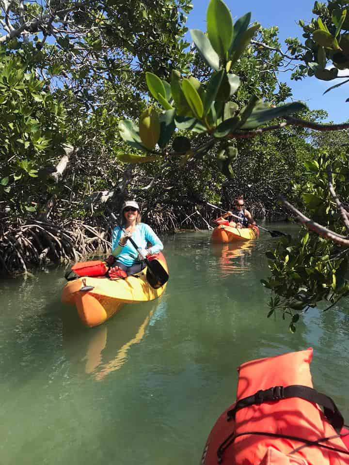 Guided-Backcountry-Paddle-Tour-with-Key-West-Eco-Tours