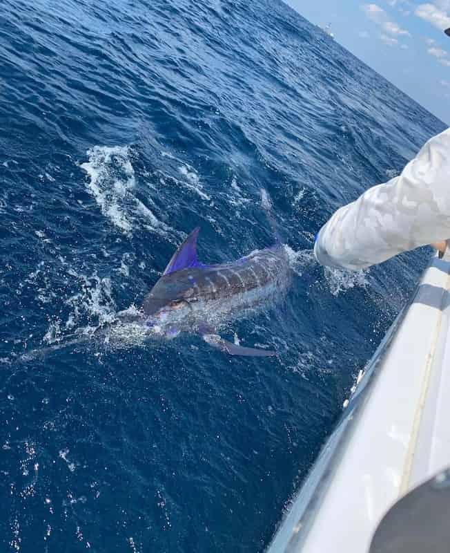 Private-Offshore-Fishing-with-Fish-Now-Charters